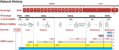 Diving into progress: a review on current therapeutic advancements in spinal muscular atrophy